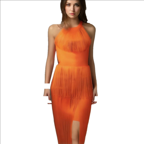 Special occassion Women's Fringe Dress - Picture 1 of 17